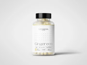 Ginger eco